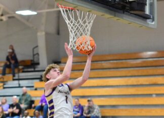 PREP BASKETBALL: Hanceville holds on to top Vinemont in area tournament 44-33