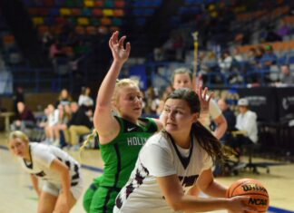 JV COUNTY TOURNAMENT: West Point rallies to top Holly Pond 40-35