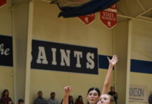PREP BASKETBALL: St. Bernard, Addison earn area tournament wins