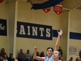 PREP BASKETBALL: St. Bernard, Addison earn area tournament wins