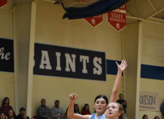 PREP BASKETBALL: St. Bernard, Addison earn area tournament wins