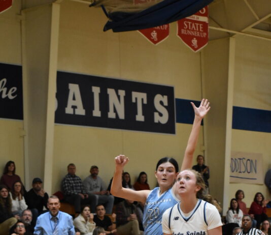 PREP BASKETBALL: St. Bernard, Addison earn area tournament wins