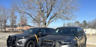 CPD vehicles sporting new designs