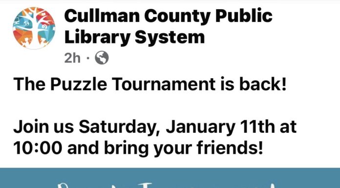 Library hosting Puzzle Tournament Jan. 11