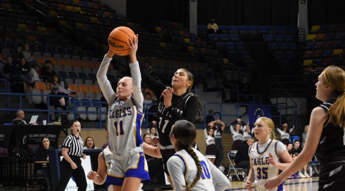 JV COUNTY TOURNAMENT: Cold Springs advances to JV Girls finals with 51-33 win over West Point