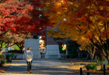 5 local students named to University of Mississippi fall 2024 Chancellor’s Honor Roll