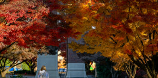 5 local students named to University of Mississippi fall 2024 Chancellor’s Honor Roll