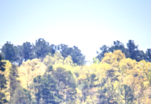 State Public Fishing Lakes update for 2025