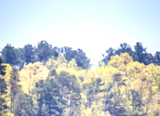 State Public Fishing Lakes update for 2025