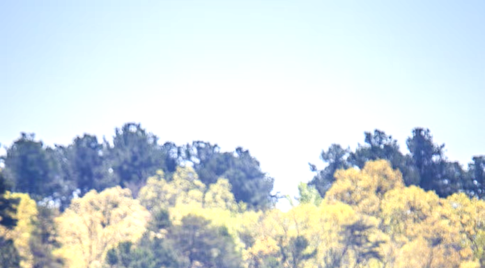 State Public Fishing Lakes update for 2025