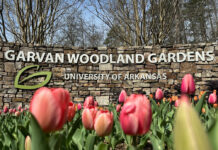 Wallace State Alumni Association announces travel plans for 2025