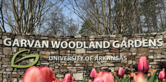 Wallace State Alumni Association announces travel plans for 2025