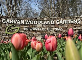 Wallace State Alumni Association announces travel plans for 2025