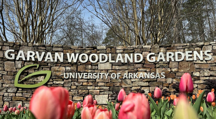 Wallace State Alumni Association announces travel plans for 2025