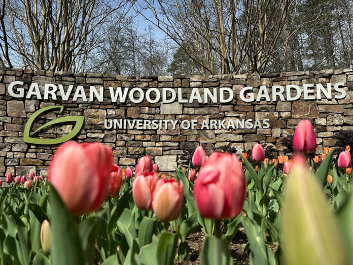 garvan_woodland_gardens