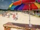 Looking for a beach getaway during spring break? Visit Alabama State Parks