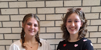 Cullman High’s Sheffield, Hollis named National Merit Finalists