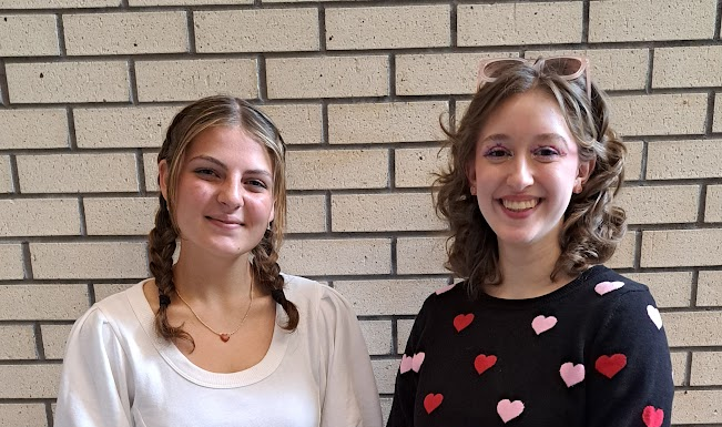 Cullman High’s Sheffield, Hollis named National Merit Finalists