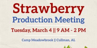 Strawberry farming insight: Free strawberry workshop set for March 4 at Camp Meadowbrook