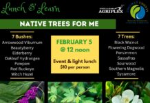 Native Trees for Me: Lunch & Learn to help residents choose the right trees – Feb. 5