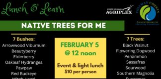 Native Trees for Me: Lunch & Learn to help residents choose the right trees – Feb. 5