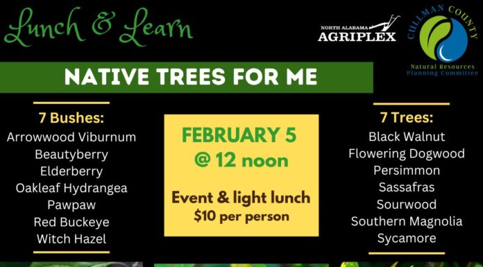 Native Trees for Me: Lunch & Learn to help residents choose the right trees – Feb. 5