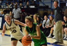 NORTHWEST REGIONAL: Holly Pond advances to Elite 8 with 40-37 win over Phil Campbell