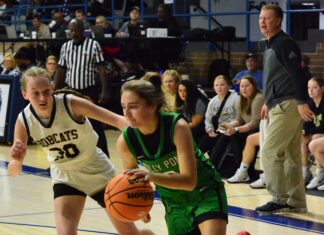 NORTHWEST REGIONAL: Holly Pond advances to Elite 8 with 40-37 win over Phil Campbell