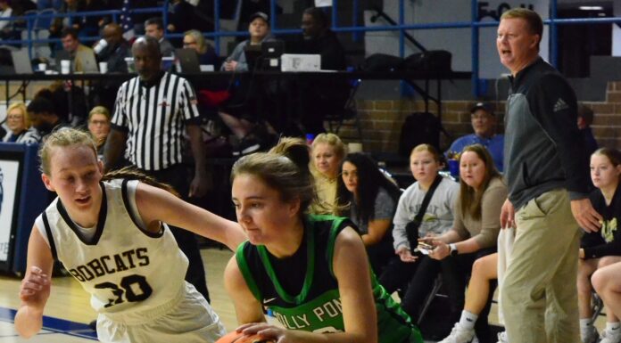 NORTHWEST REGIONAL: Holly Pond advances to Elite 8 with 40-37 win over Phil Campbell