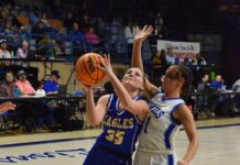 NORTHWEST REGIONAL: Cold Springs holds on to top Sulligent 46-38, advances to Elite 8