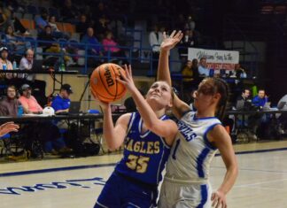 NORTHWEST REGIONAL: Cold Springs holds on to top Sulligent 46-38, advances to Elite 8