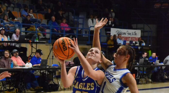 NORTHWEST REGIONAL: Cold Springs holds on to top Sulligent 46-38, advances to Elite 8