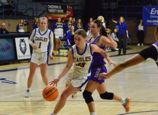 NORTHWEST REGIONAL: Cold Springs’ season ends with Elite 8 loss to Decatur Heritage