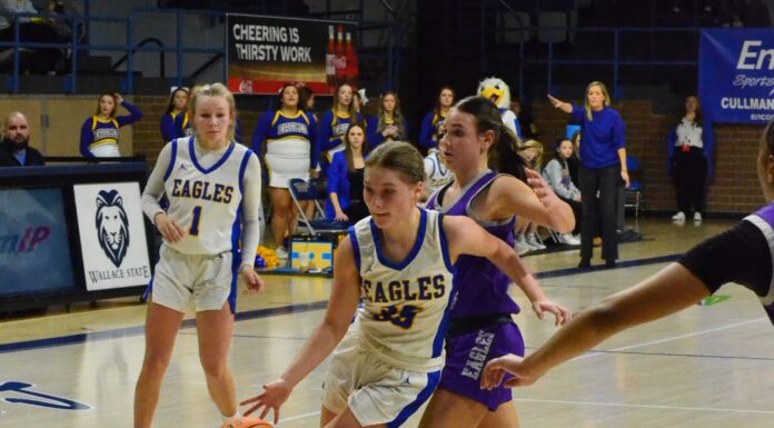 NORTHWEST REGIONAL: Cold Springs’ season ends with Elite 8 loss to Decatur Heritage