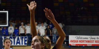 NORTHWEST REGIONAL: Arab’s season ends with Elite 8 loss to Scottsboro