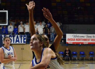 NORTHWEST REGIONAL: Arab’s season ends with Elite 8 loss to Scottsboro