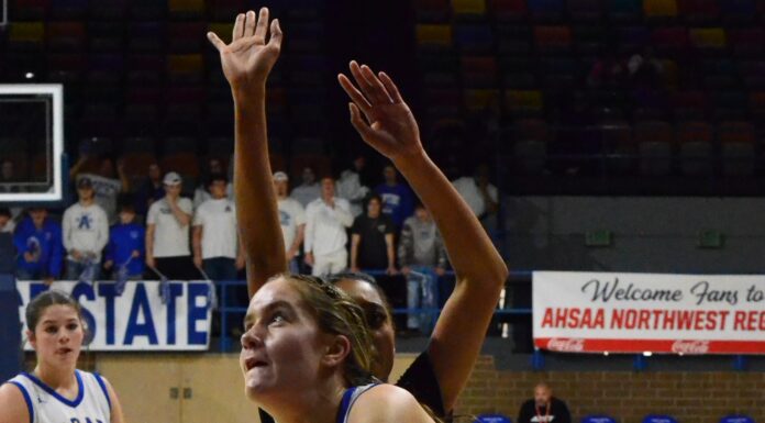 NORTHWEST REGIONAL: Arab’s season ends with Elite 8 loss to Scottsboro