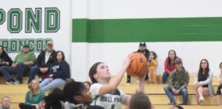 PREP BASKETBALL: Holly Pond downs Colbert County 54-39 to advance to NW Regional