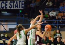 NORTHWEST REGIONAL: Holly Pond falls to No. 1 Lauderdale County in Elite 8, 42-28