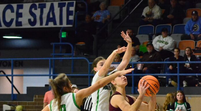 NORTHWEST REGIONAL: Holly Pond falls to No. 1 Lauderdale County in Elite 8, 42-28