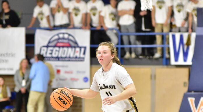 NORTHWEST REGIONAL: Cullman falls to Hartselle in Sweet 16, 56-25