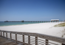 Rainer: ADCNR strives to continue trend in 2025 after great success in 2024