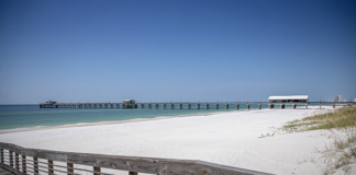 Rainer: ADCNR strives to continue trend in 2025 after great success in 2024