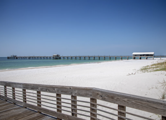 Rainer: ADCNR strives to continue trend in 2025 after great success in 2024