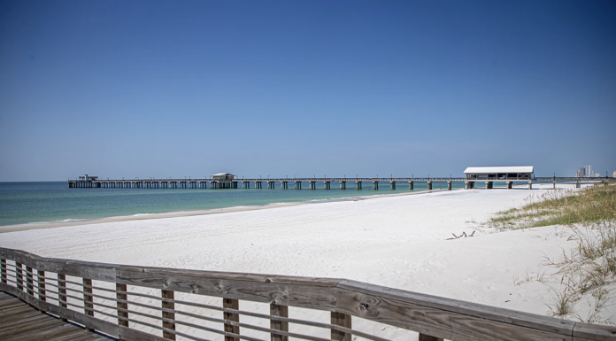 Rainer: ADCNR strives to continue trend in 2025 after great success in 2024