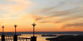 Rainer: Wildlife Diversity Managers meet at picturesque Lake Guntersville State Park