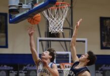 PREP BASKETBALL: Addison, Meek advance to area tournament finals