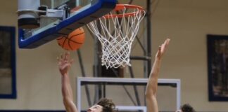 PREP BASKETBALL: Addison, Meek advance to area tournament finals