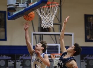 PREP BASKETBALL: Addison, Meek advance to area tournament finals