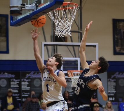 PREP BASKETBALL: Addison, Meek advance to area tournament finals
